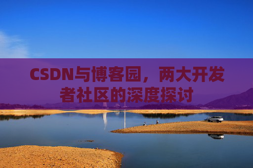 CSDN与博客园，两大开发者社区的深度探讨